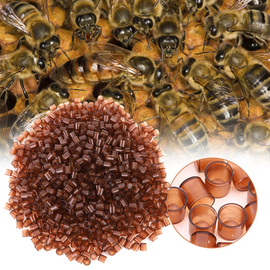 1000PCS Beekeeping Queen Cell Brown Plastic Bee Feeding Tools