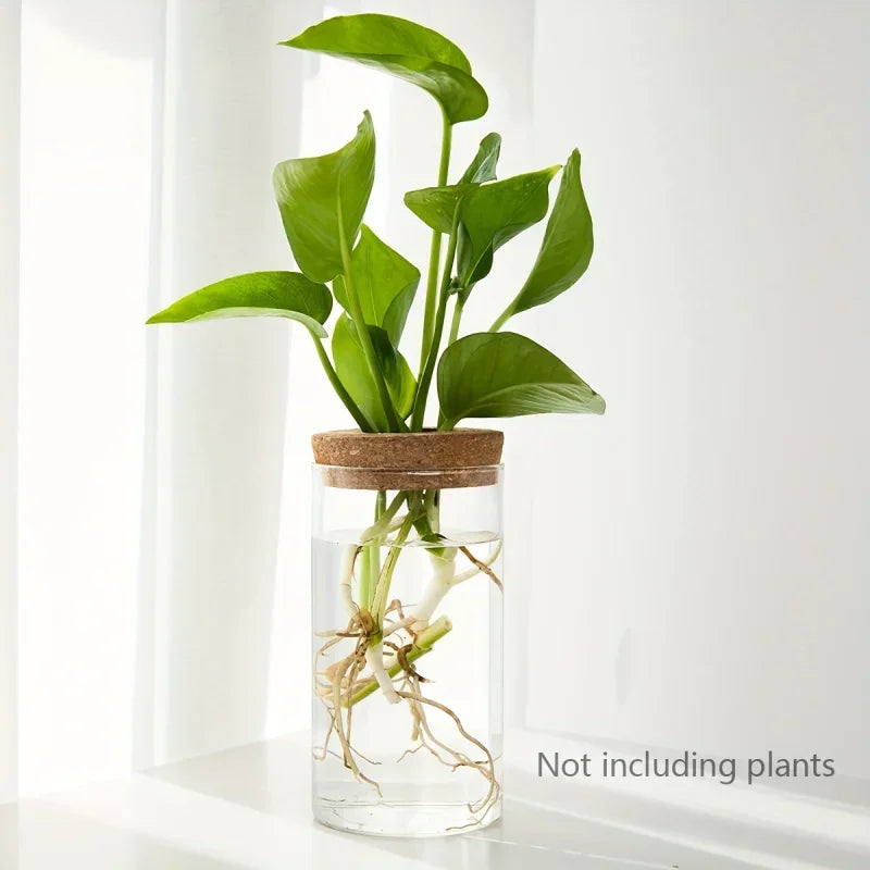 Hydroponics Plants Desktop Glass Planter Vase