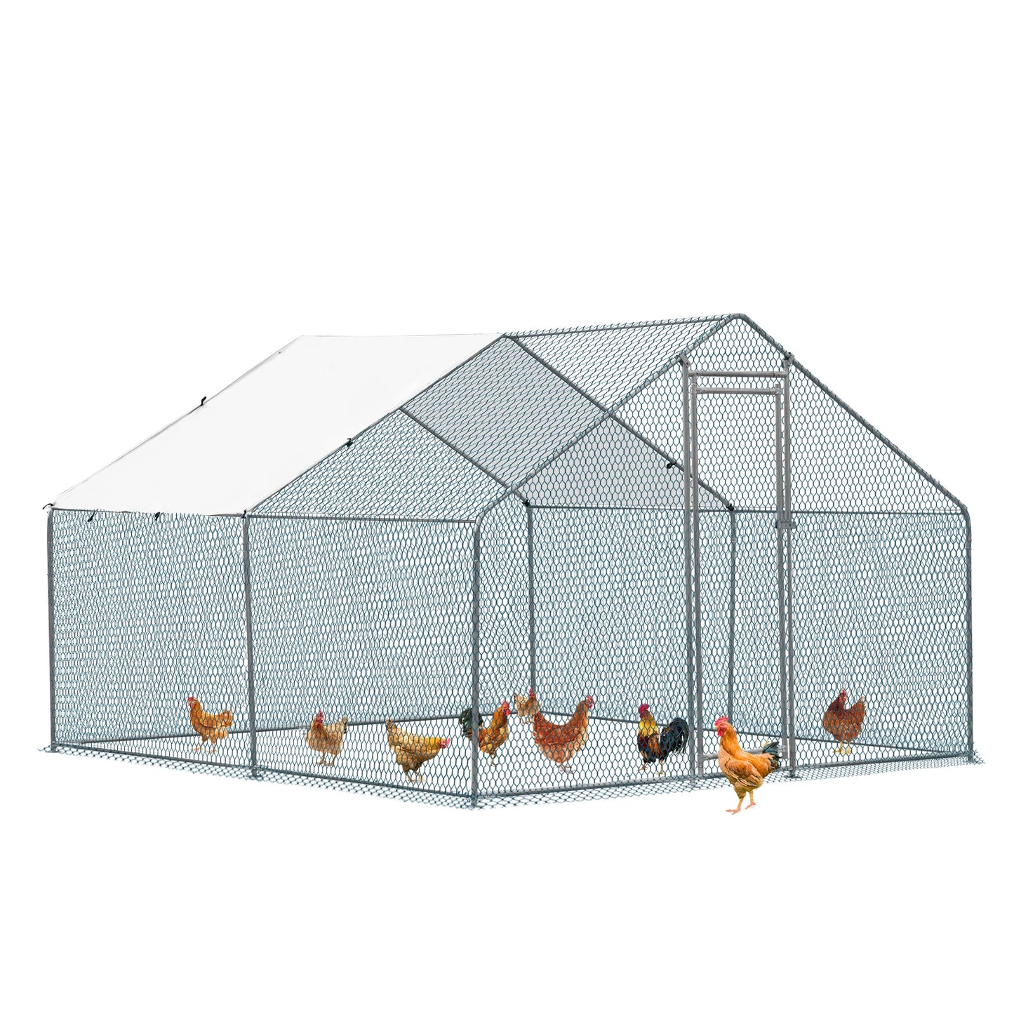 10 x 10 ft Large Metal Chicken Coop