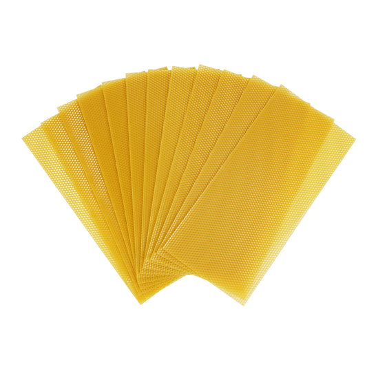 Honeycomb Wax Frames
