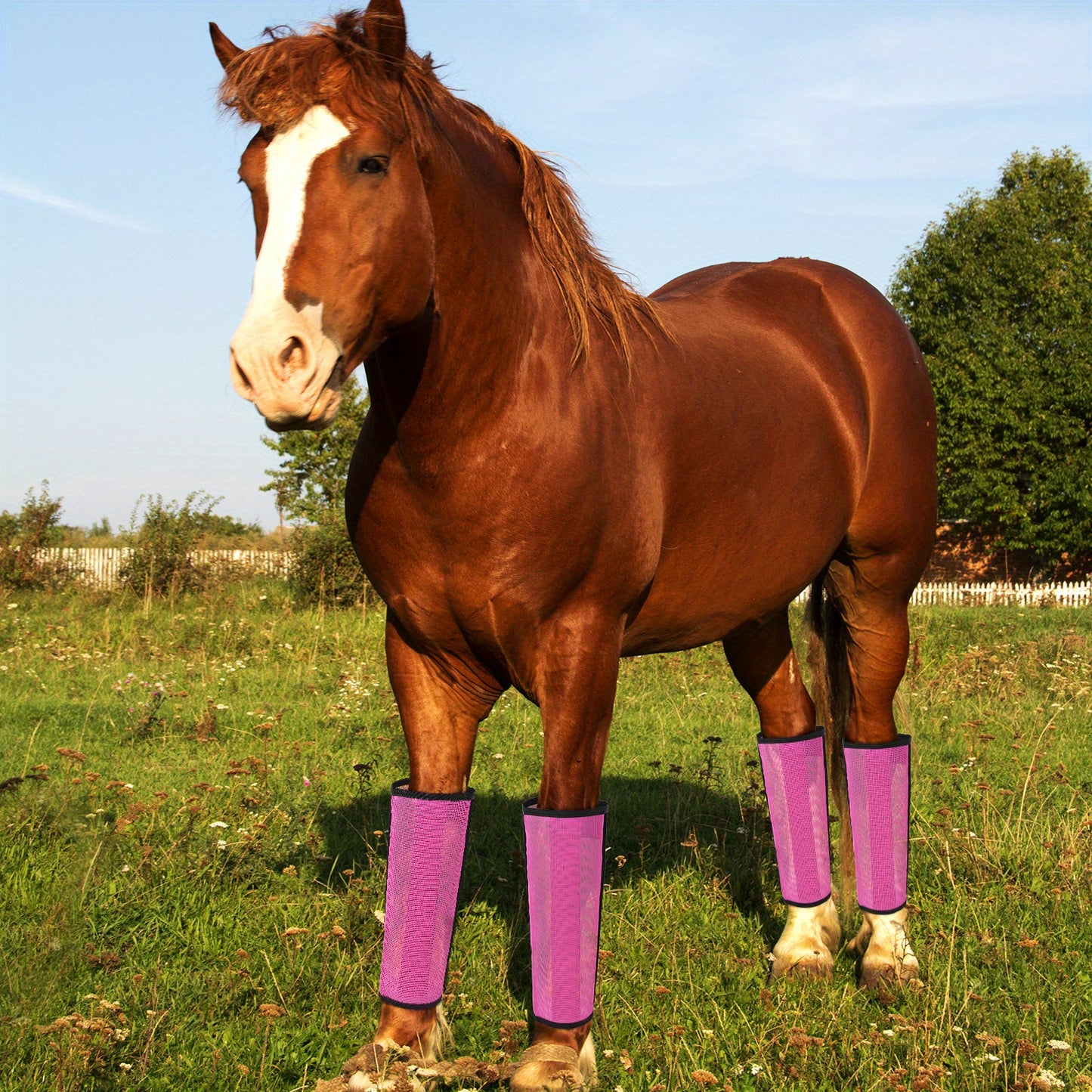 Rose Red Breathable Mesh Horse Fly Boots 4 Pack Covers