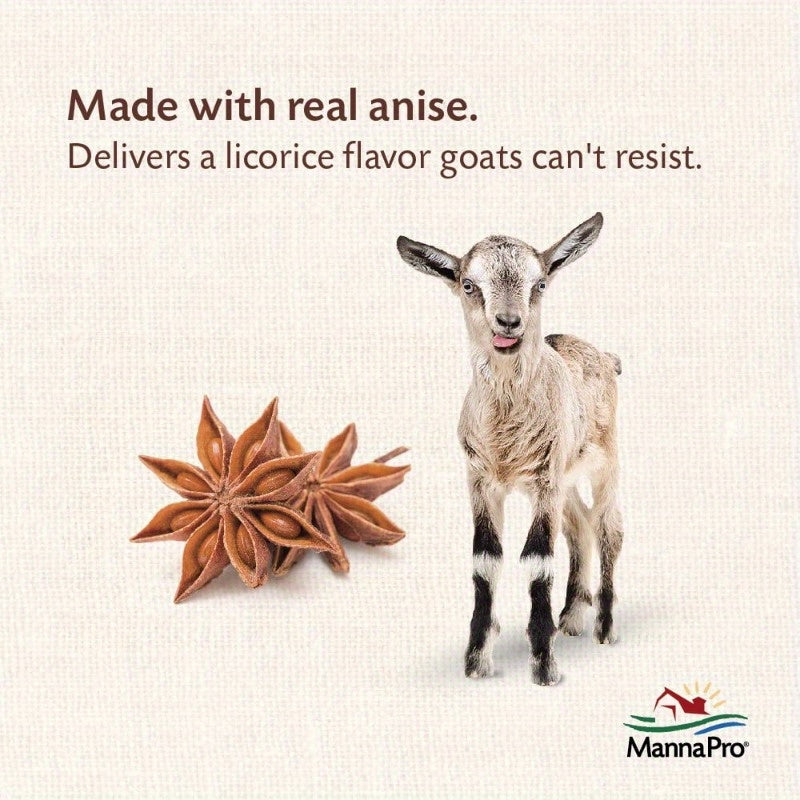 Goat Treats With Oatmeal Licorice Flavor 6 Lbs All Goats