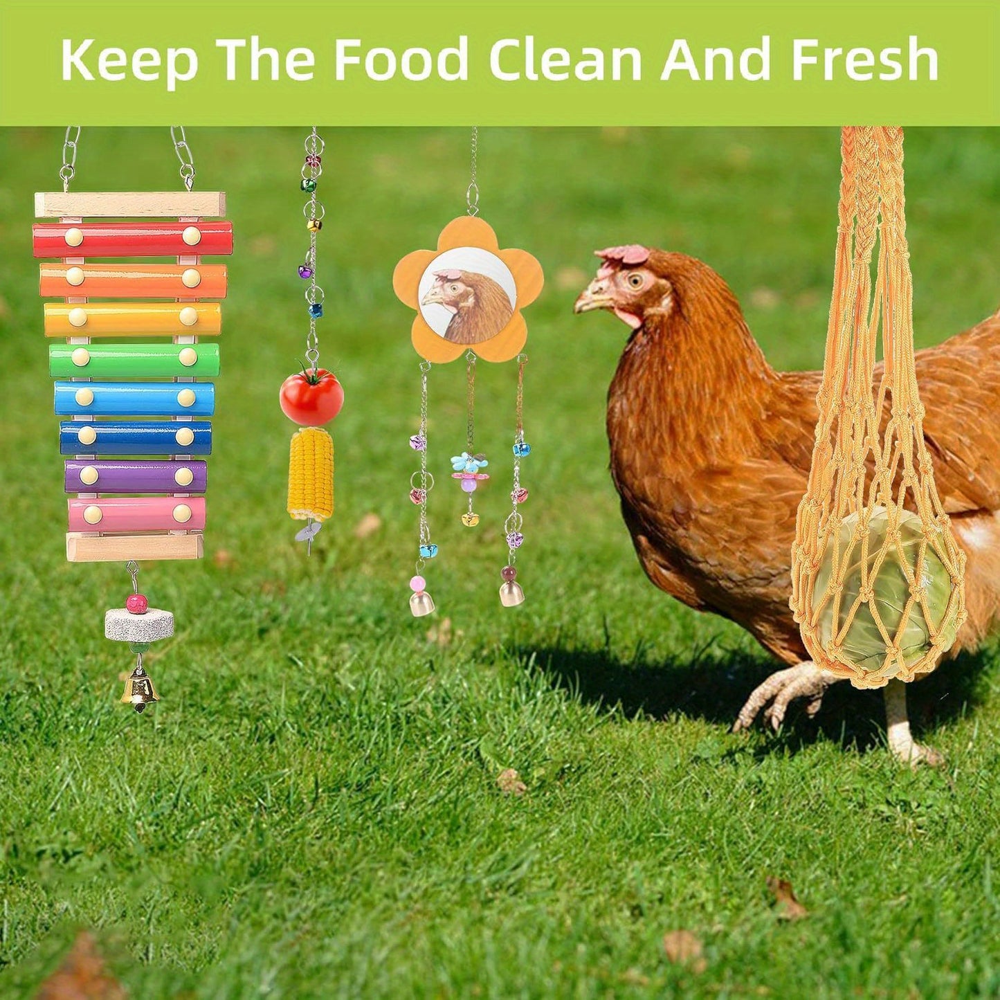 Chicken Toys For Coops With Glockenspiel And Mirror