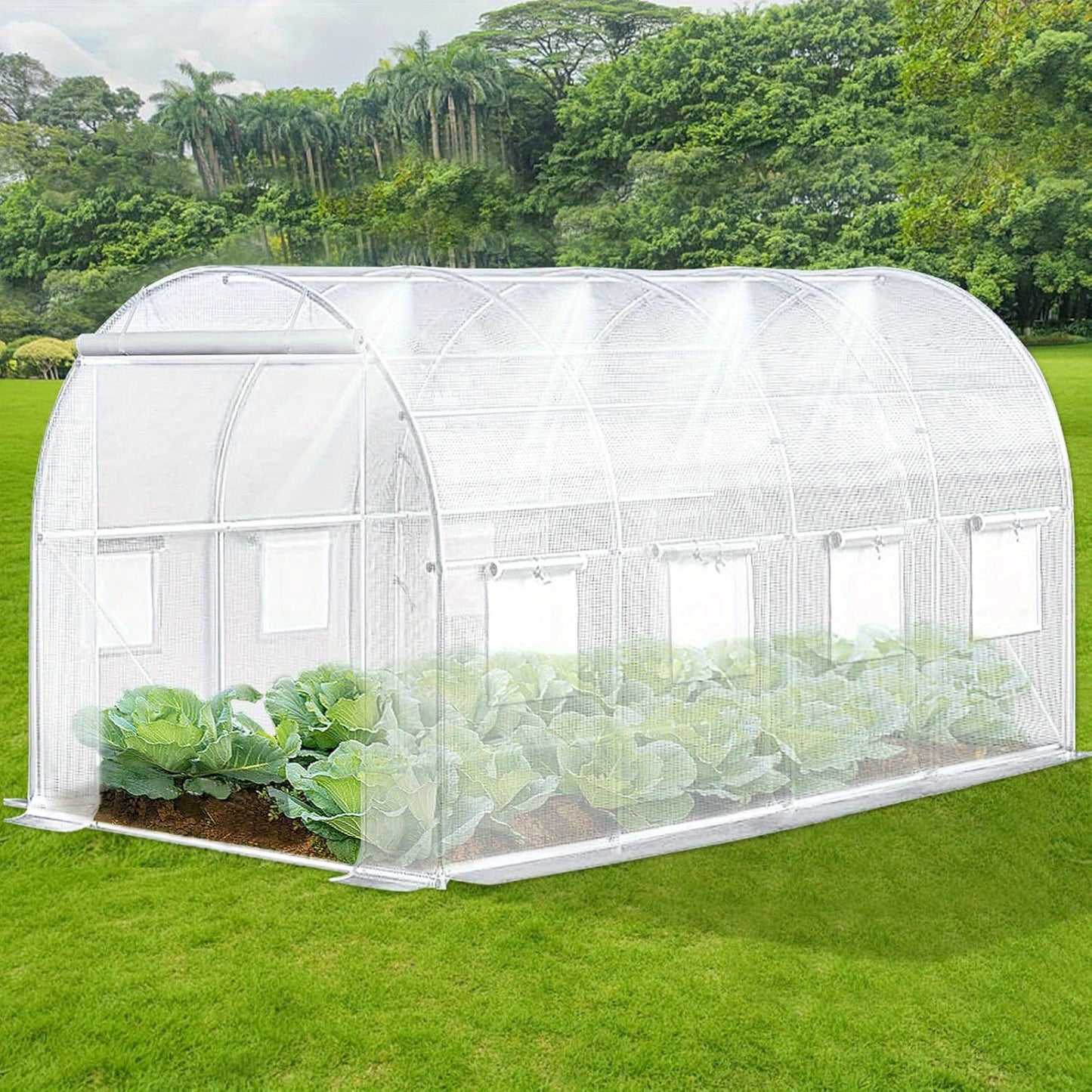 Walk In Tunnel Greenhouse With Integrated Watering System