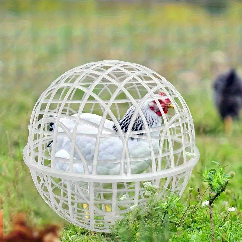 Portable Rolling PVC Chicken Coop Ball for Backyard Use