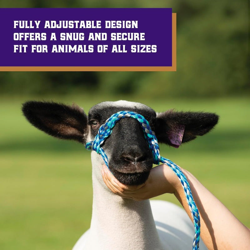 Adjustable Braided Pink and Blue Sheep Halter with Metal Ring