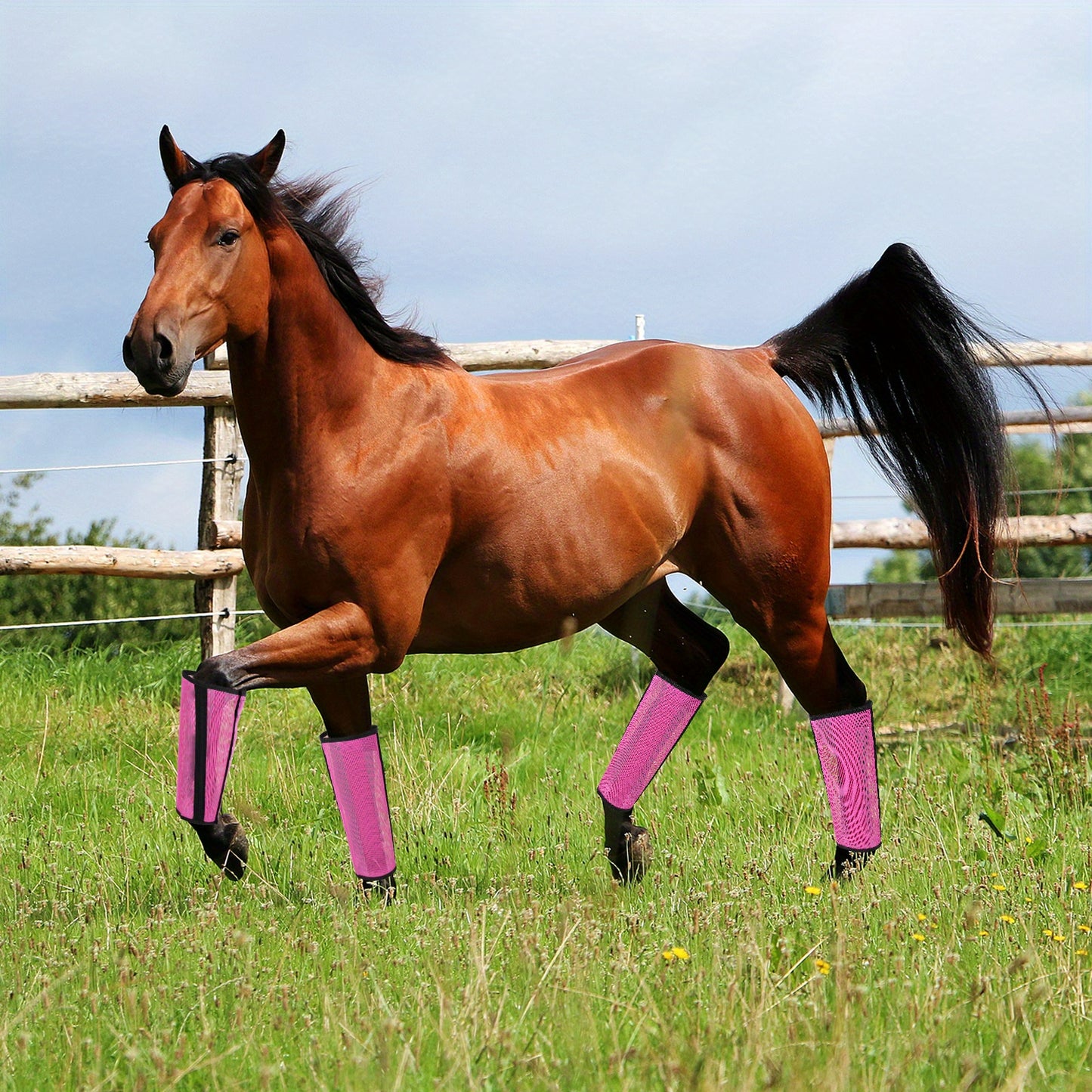 Rose Red Breathable Mesh Horse Fly Boots 4 Pack Covers