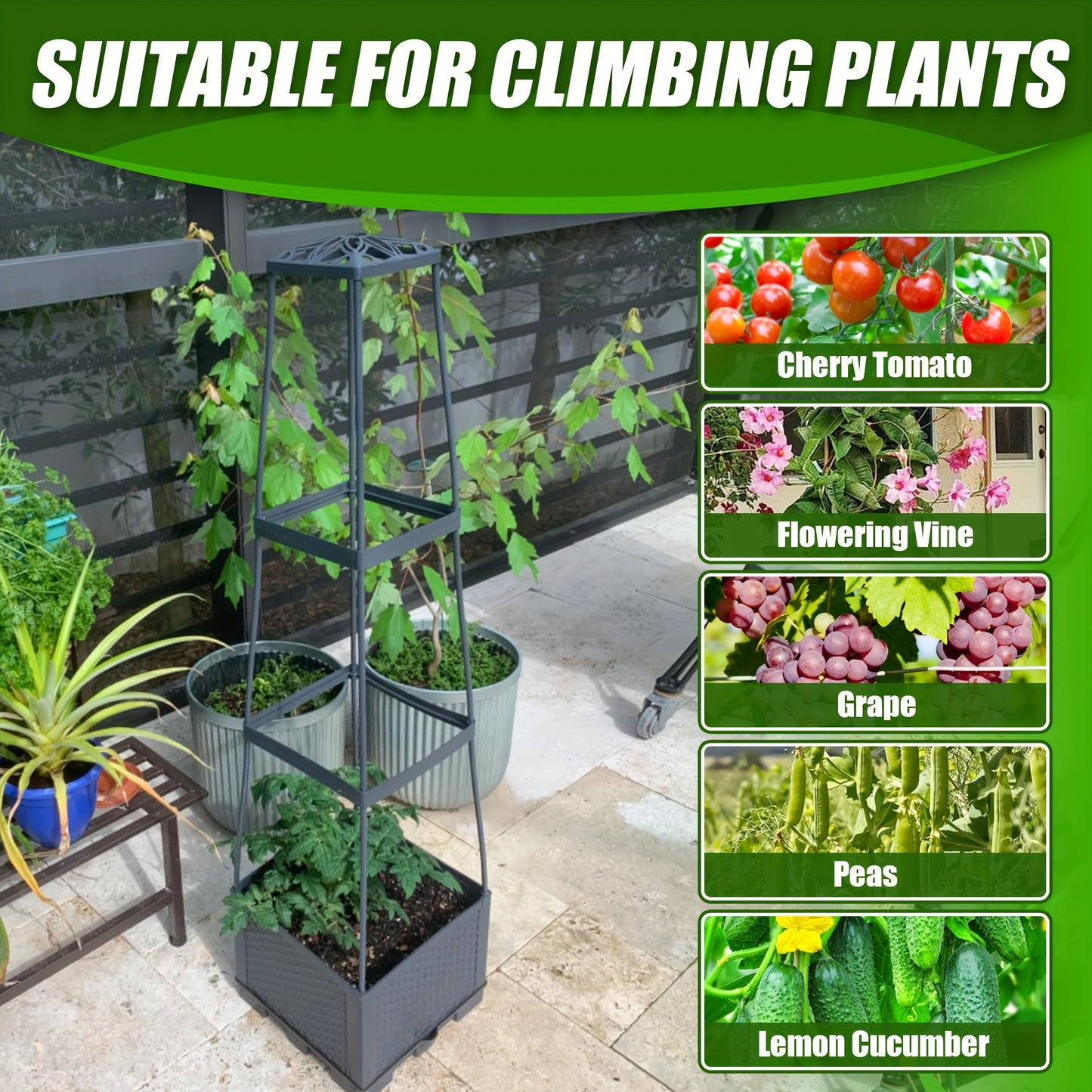 Two Pack Tomato Planting Boxes Indoor Outdoor Grid Cage