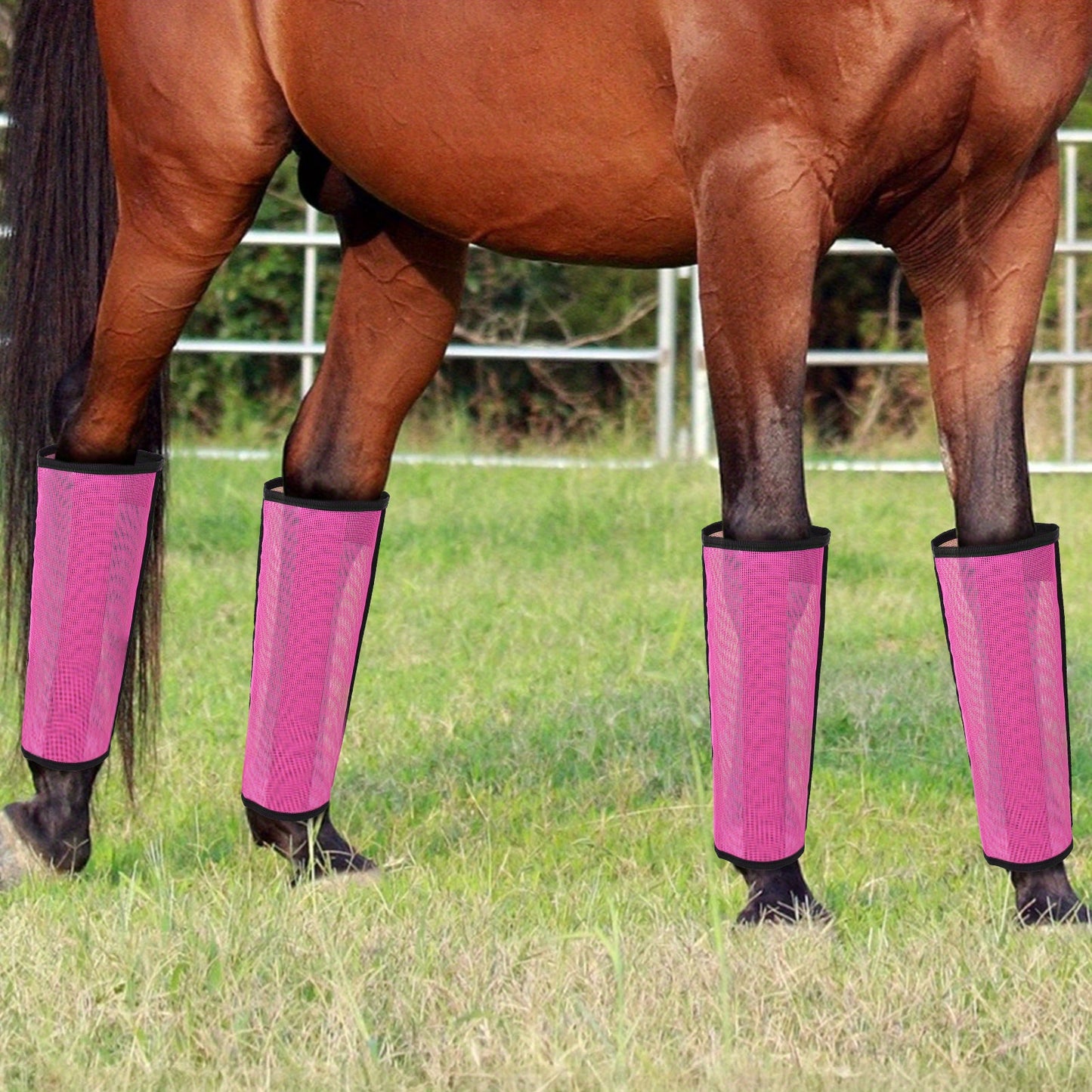 Rose Red Breathable Mesh Horse Fly Boots 4 Pack Covers