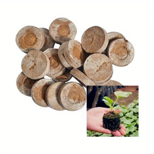 40pcs Compressed Seedling Soil Pellets for Healthy Gardening