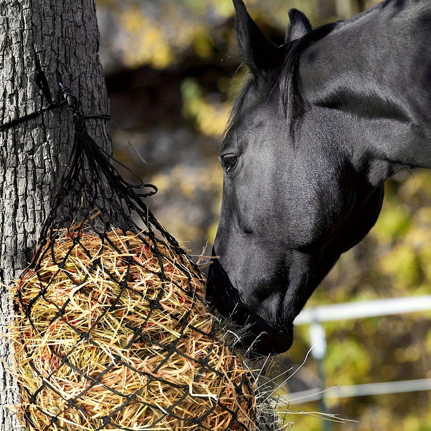 2PCS Durable Slow Feed Hay Nets for Horses Sheep and Donkeys Red Blue Black PE Material with Rope Handles Hexagonal Design for Easy Filling and Slow Feeding