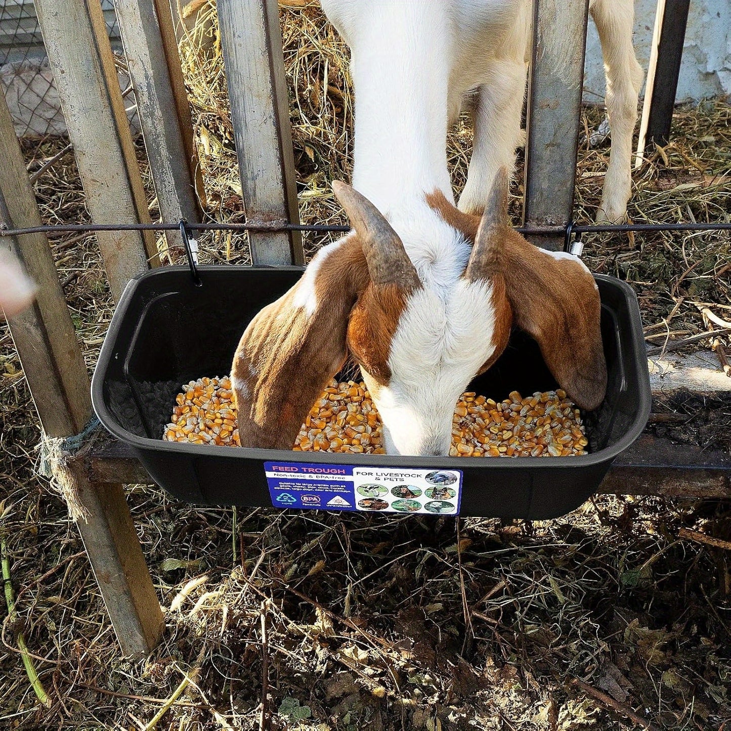 2pcs Durable Chicken Feeder for Poultry Ducks and Livestock