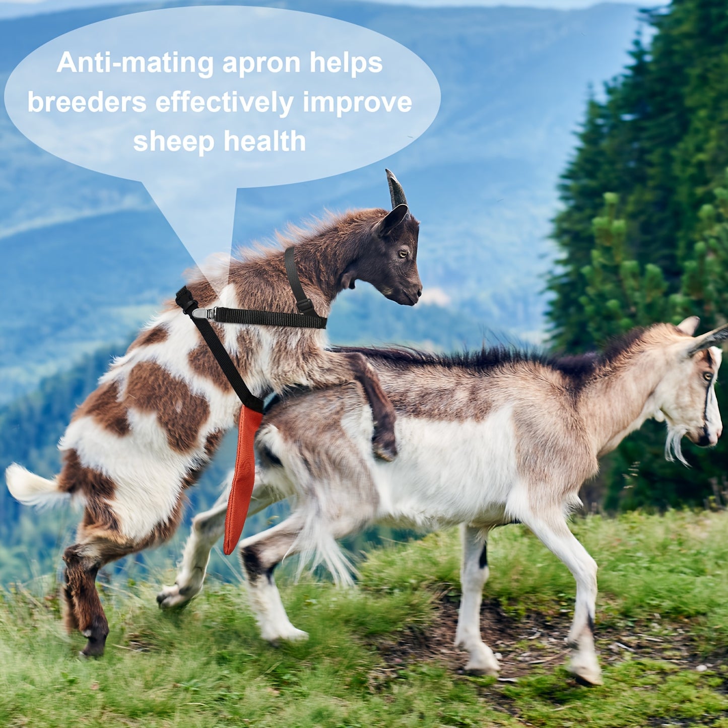 Anti-Breeding Goat and Sheep Apron with Adjustable Straps
