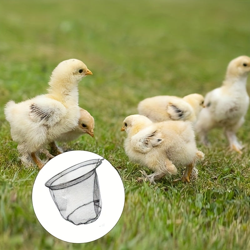 Stainless Steel Extendable Chicken Catcher with Fine Mesh Net